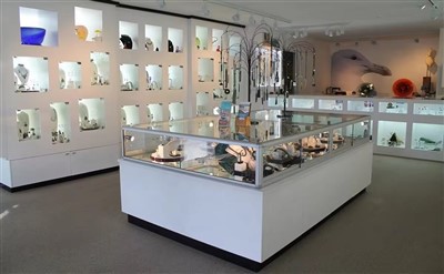 Vetrina personalizzata per museo