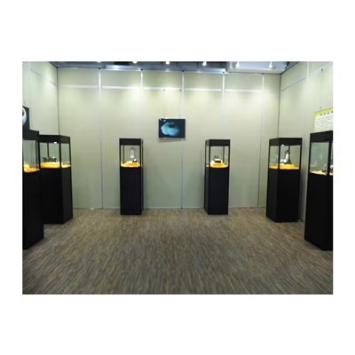 Recinto espositivo del museo