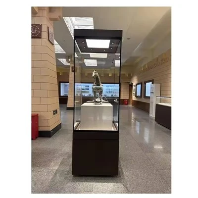 Espositore sospeso del Museo